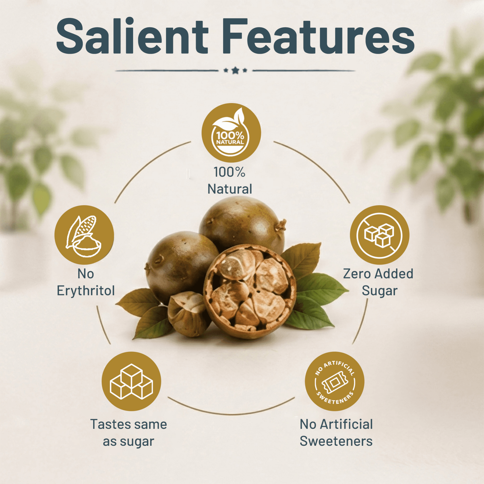 Monk Fruit Sweetener Powder with Allulose thumbnail 5