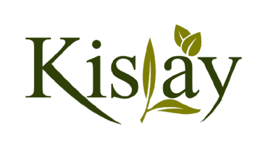 Kislay Logo