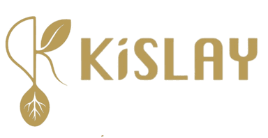 Kislay Logo