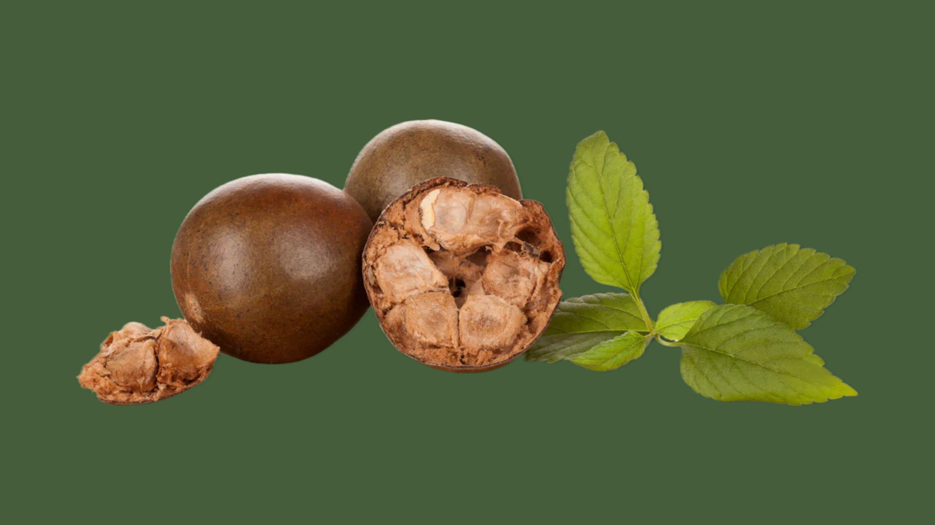 Monk fruit sweetener in a bowl with fresh monk fruits
